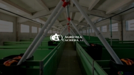 Proyecto página web Agrícola Cacheda