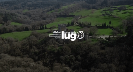 Proyecto de diseño web para el GDR-4 de la Comarca de Lugo
