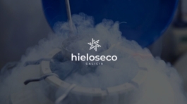 Proyecto de diseño web para Hielo Seco Galicia