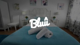 Proyecto de diseño web para Hostal Bluu