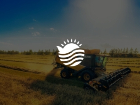 Proyecto de diseño web para Impulsa Rural