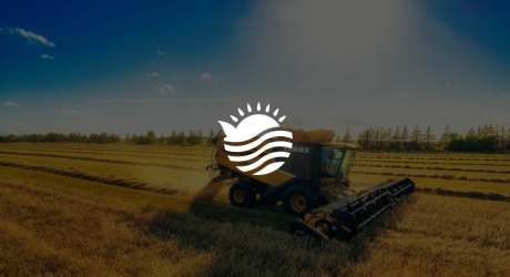 Proyecto de diseño web para Impulsa Rural