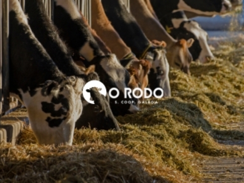 Proyecto de diseño web para Cooperativa O Rodo