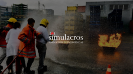simulacros-silicon