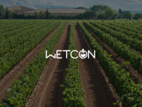 Proyecto de diseño web para Wetcon
